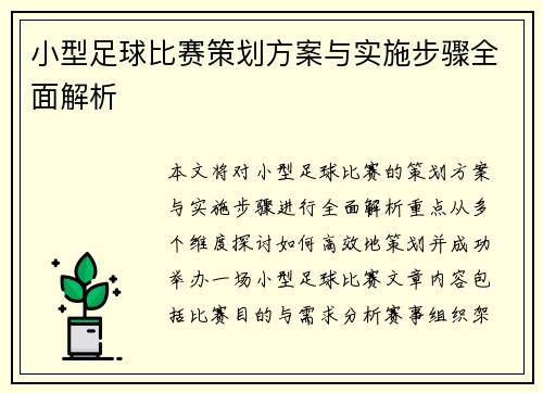 小型足球比赛策划方案与实施步骤全面解析