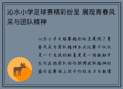 沁水小学足球赛精彩纷呈 展现青春风采与团队精神