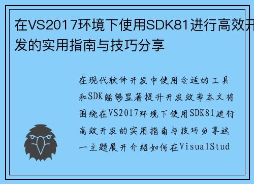 在VS2017环境下使用SDK81进行高效开发的实用指南与技巧分享