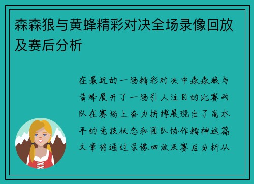 森森狼与黄蜂精彩对决全场录像回放及赛后分析