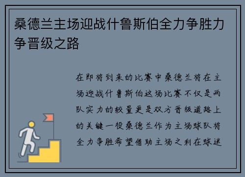 桑德兰主场迎战什鲁斯伯全力争胜力争晋级之路